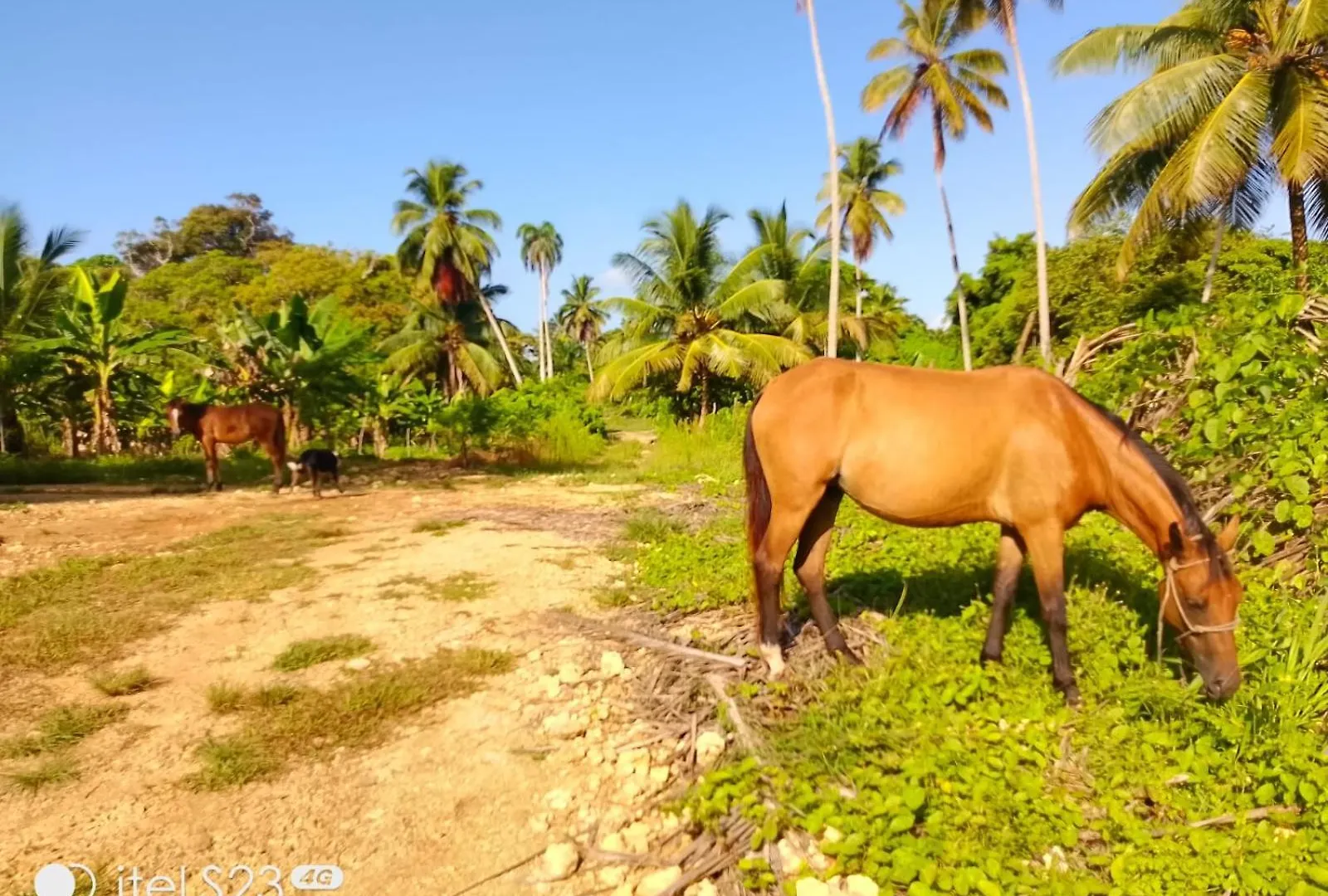 Villa Dario Nagua